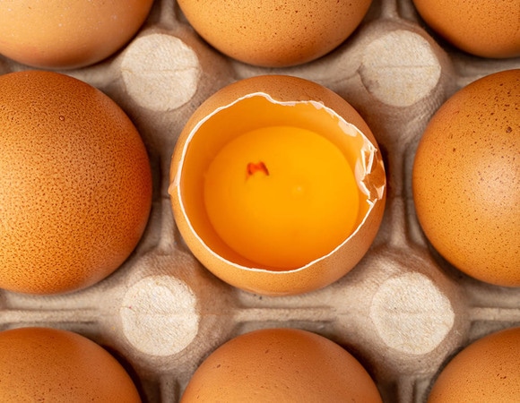 В желтке красное пятно — можно ли есть такое яйцо? В желтке красное пятно — можно ли есть такое яйцо?