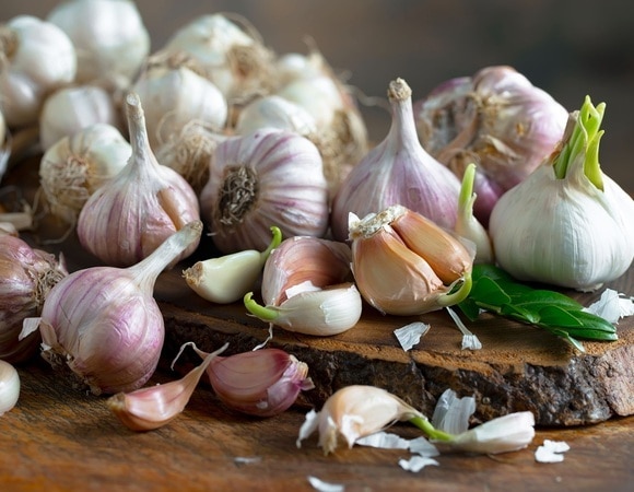 Сухой или свежий? Как быть любителям чеснока, если есть проблемы с ЖКТ — объяснила диетолог