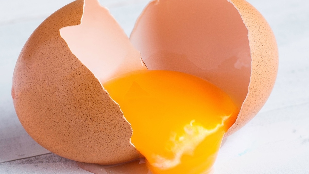 Белые сгустки в яйце — что это и нужно ли их убирать? 