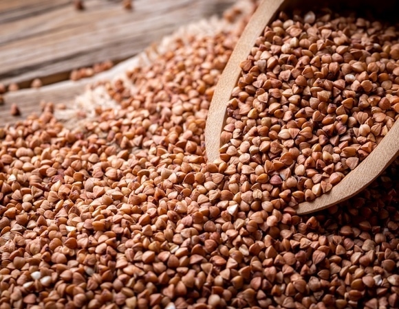 Коричневая или зеленая? Эксперт по питанию объяснила, какая гречка полезнее Коричневая или зеленая? Эксперт по питанию объяснила, какая гречка полезнее