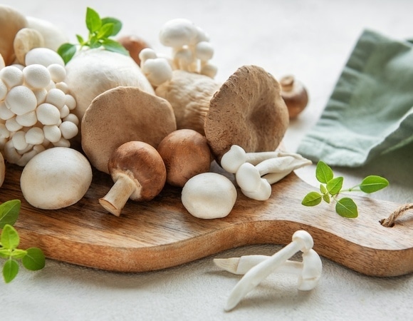 Даже шампиньоны? Ученые открыли противораковые свойства некоторых грибов