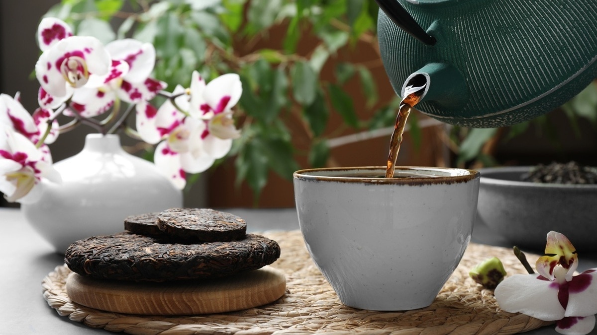 «Индивидуально действуют»: какой пуэр можно пить перед сном?