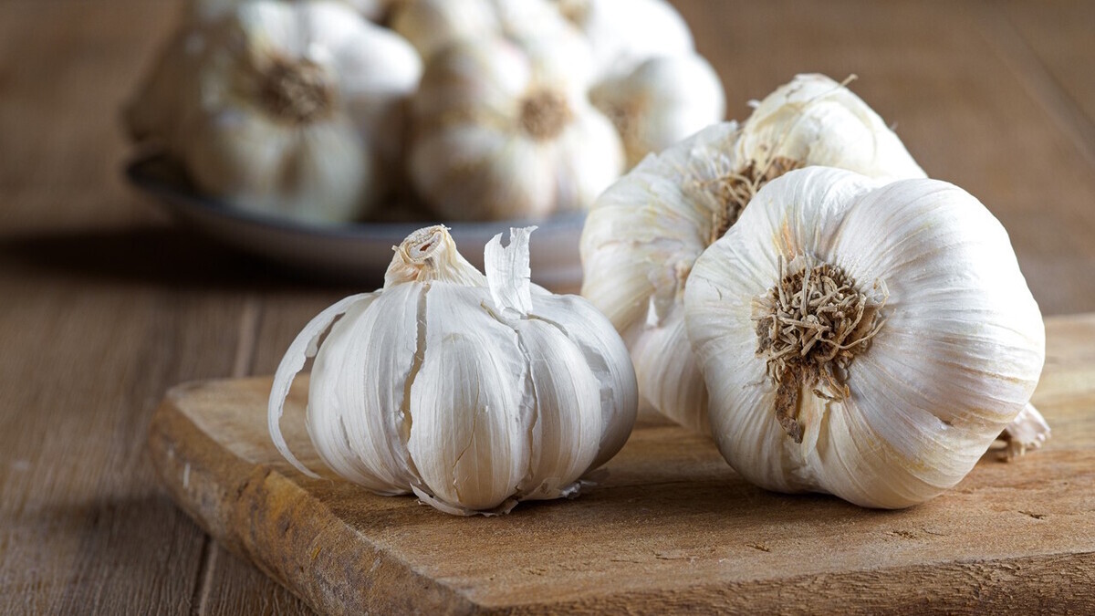 Как часто можно есть чеснок, объяснил доктор Мясников