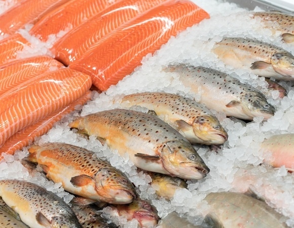 Какую рыбу выбрать для омега-3: доктор Мясников раскрыл секрет защиты от диабета и ожирения