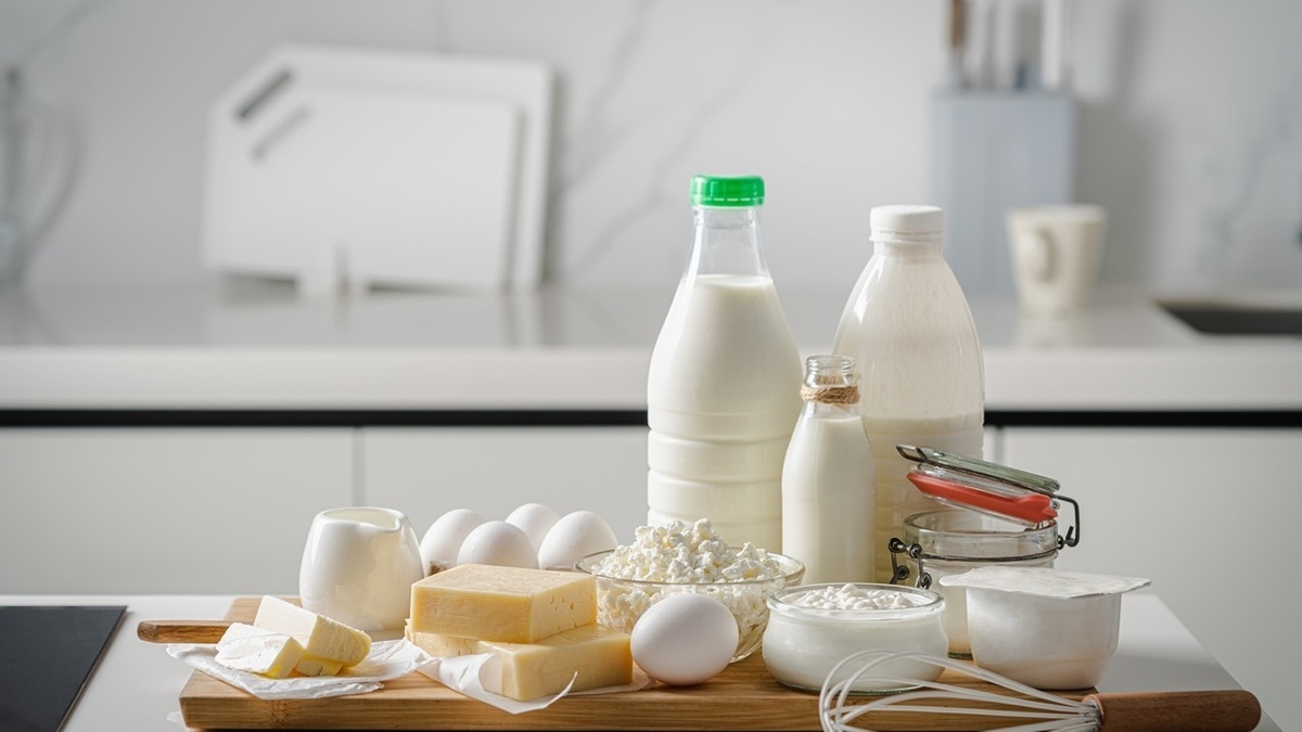 Рацион питания ребенка — что можно и что нельзя есть маленьким «почемучкам»