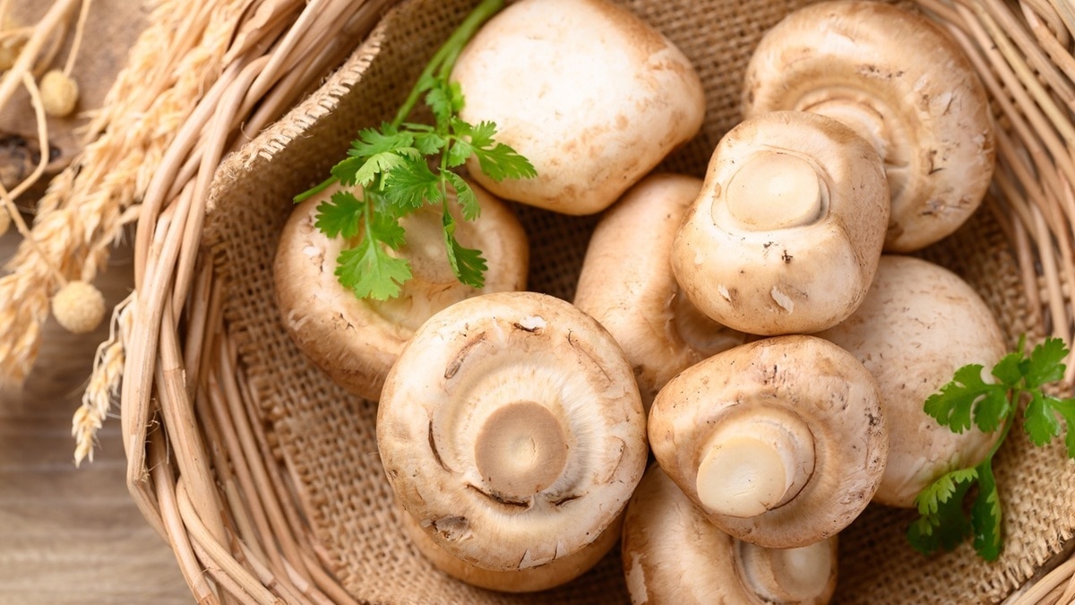 «Дешевле купить»: есть ли шанс вырастить грибы в доме, объяснила агроном