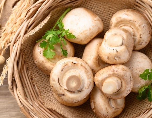 «Дешевле купить»: есть ли шанс вырастить грибы в доме, объяснила агроном «Дешевле купить»: есть ли шанс вырастить грибы в доме, объяснила агроном