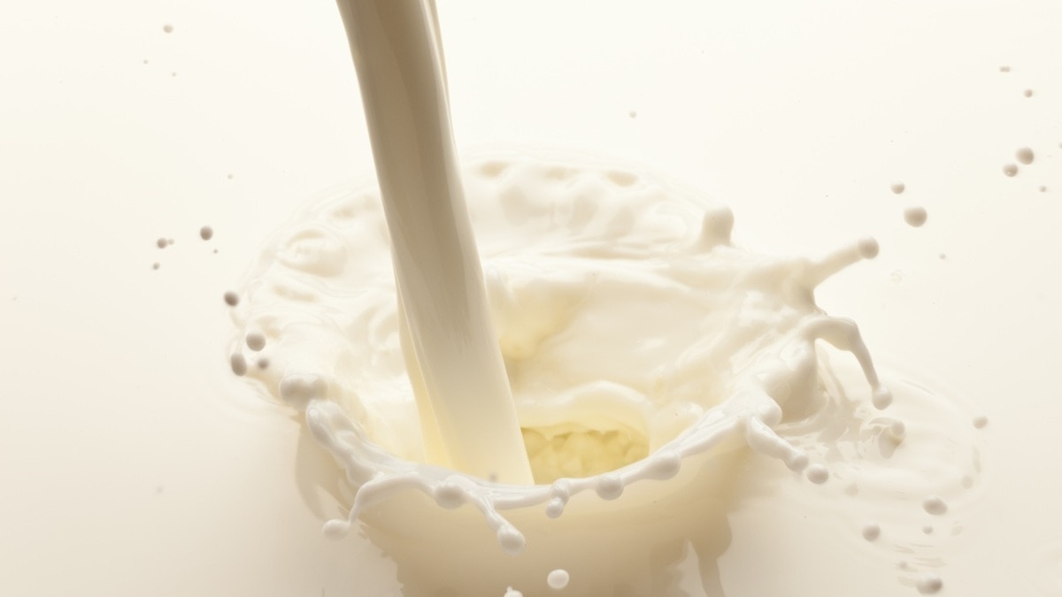 Что добавить в молоко, чтобы оно скисло? Важные правила, которые обеспечат результат
