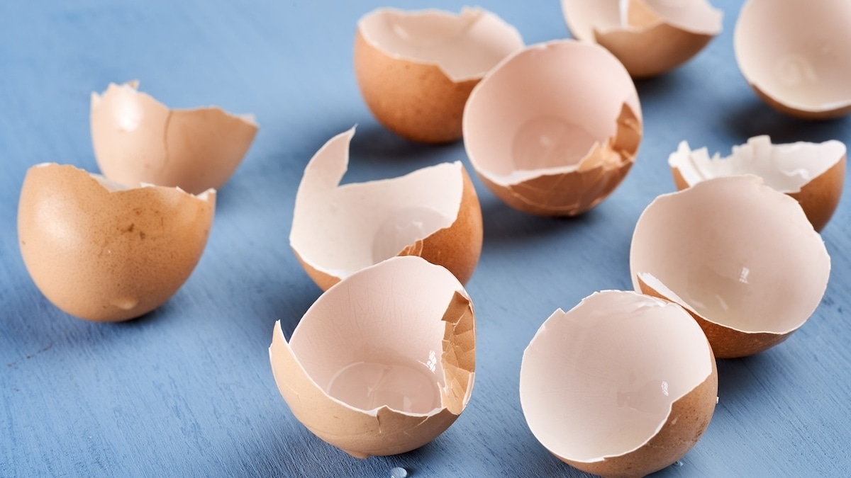 Гастроэнтеролог ответила, можно ли есть яичную скорлупу ради кальция