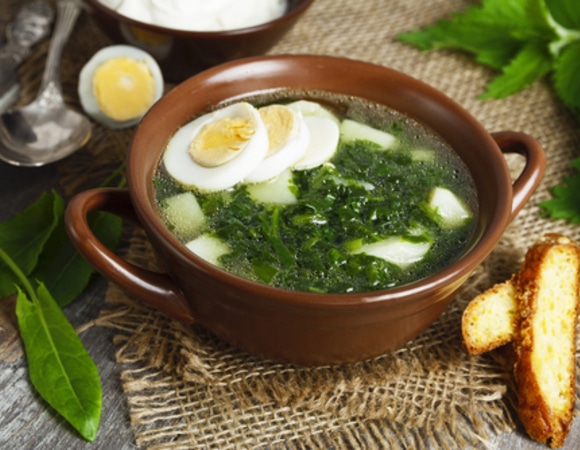 Щавелевый суп: рецепт витаминного блюда для иммунитета Щавелевый суп: рецепт витаминного блюда для иммунитета