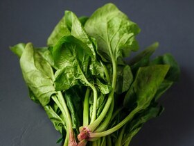 Шпинат — кладезь витаминов на вашем столе: подборка вкусных и простых рецептов