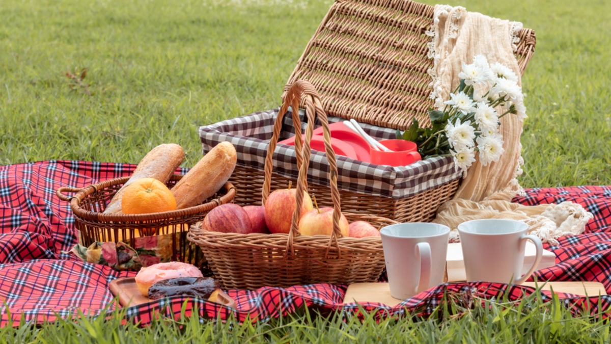10 вкусных и простых закусок для идеального пикника 10 вкусных и простых закусок для идеального пикника
