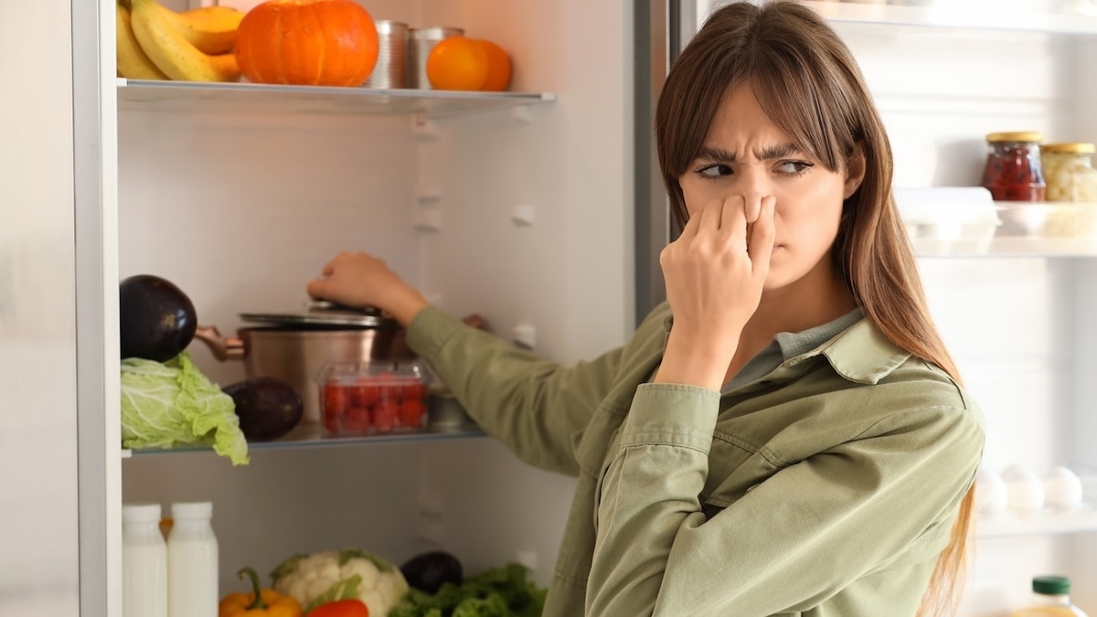 «Могут привести к смерти»: биолог рассказал об опасной причине неприятного запаха в холодильнике «Могут привести к смерти»: биолог рассказал об опасной причине неприятного запаха в холодильнике