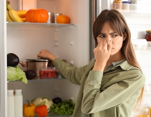 «Могут привести к смерти»: биолог рассказал об опасной причине неприятного запаха в холодильнике