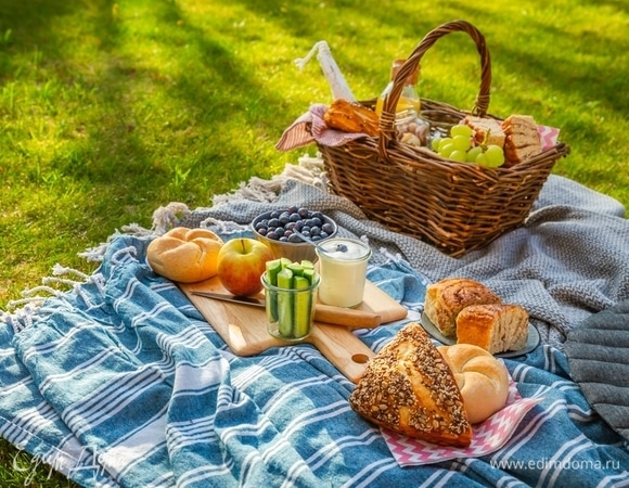 Как избавиться от насекомых на пикнике — с помощью продуктов
