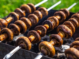 Шампиньоны на костре: грибной вкус и аромат под открытым небом