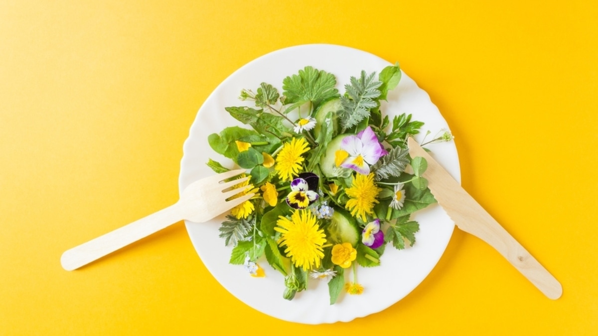 Сорняк — не приговор, а деликатес: неожиданные блюда из дикоросов с грядки Сорняк — не приговор, а деликатес: неожиданные блюда из дикоросов с грядки