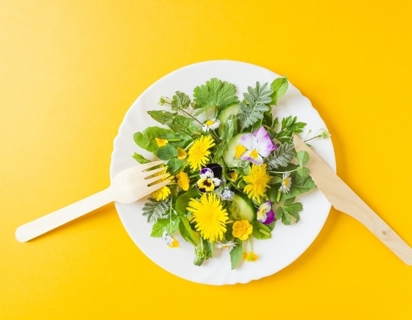 Сорняк — не приговор, а деликатес: неожиданные блюда из дикоросов с грядки