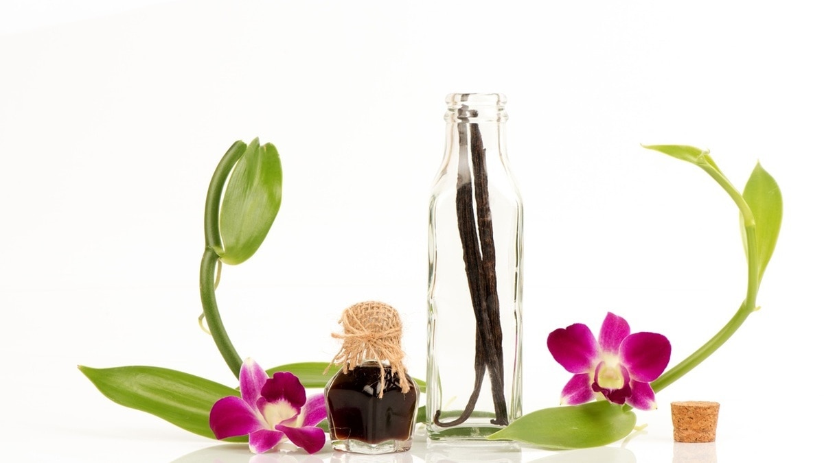 "Хоть в рис, хоть в пюре": ванилин можно использовать не только в выпечке, уверен шеф-повар Кудряшов 