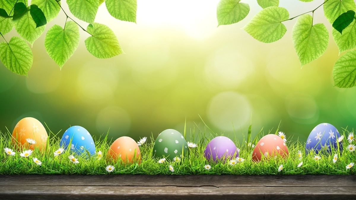 Как покрасить яйца на Пасху куркумой — золотистый оттенок обеспечен