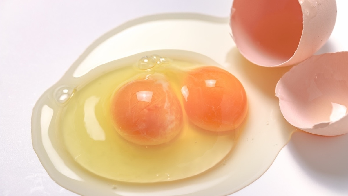 Удача или аномалия: можно ли есть яйца с двойным желтком?