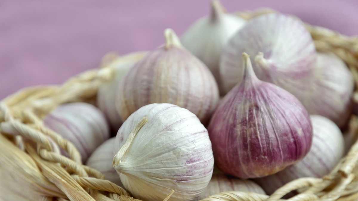 Как сушить чеснок — три варианта для ароматных блюд Как сушить чеснок — три варианта для ароматных блюд