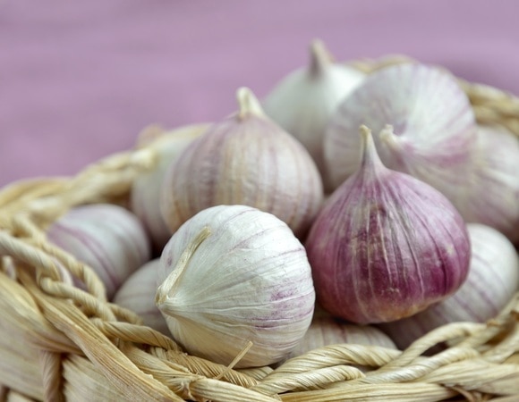 Как сушить чеснок — три варианта для ароматных блюд Как сушить чеснок — три варианта для ароматных блюд