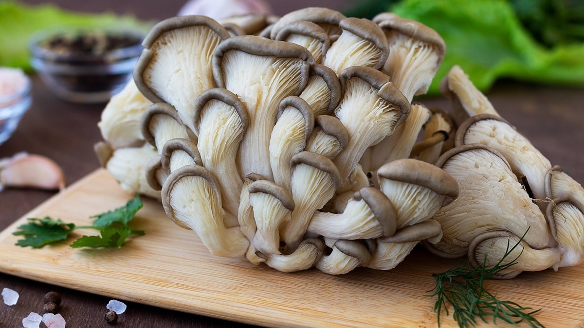 Как готовить вешенки? Крем-суп со сливками и гренками — отличная идея