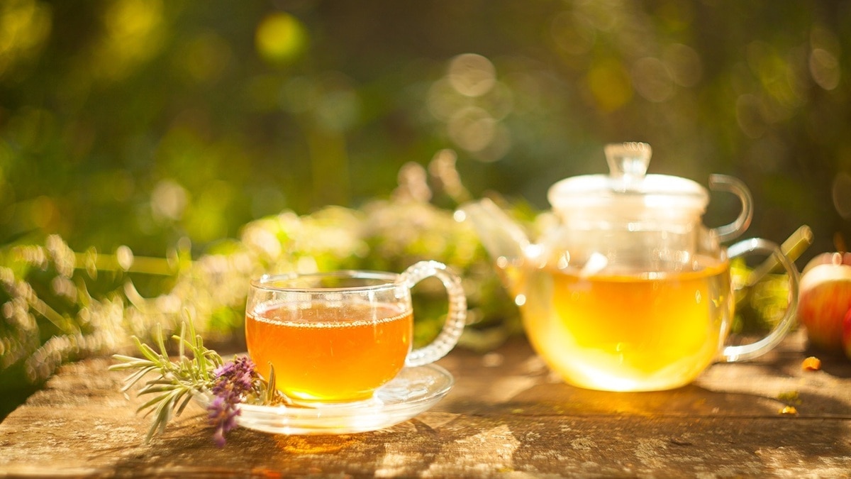 "Только врач может определить": доктор Мясников — о мнимой пользе чая из трав