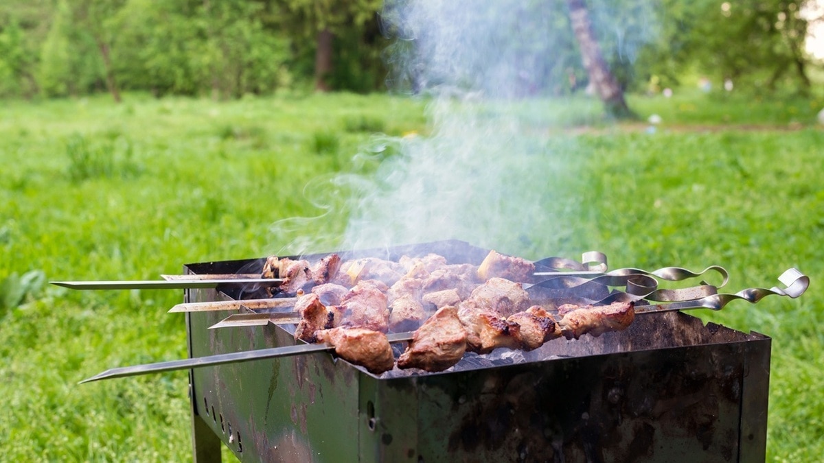 "Они помогают": идеальные напитки к шашлыкам назвала диетолог-эндокринолог Барредо "Они помогают": идеальные напитки к шашлыкам назвала диетолог-эндокринолог Барредо