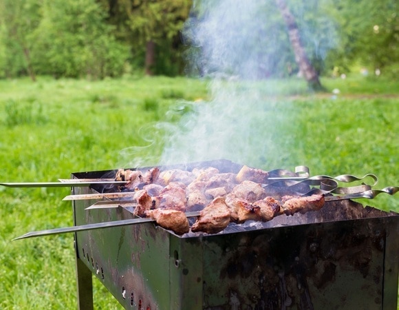 «Они помогают»: идеальные напитки к шашлыкам назвала диетолог-эндокринолог