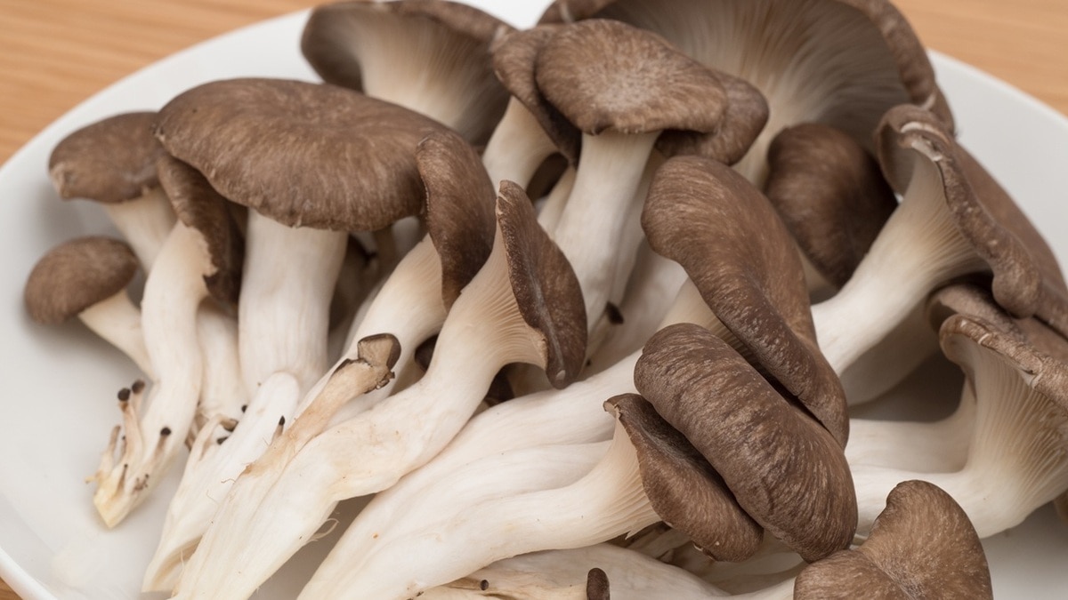 «Я бы не стала»: врач назвала три категории людей, которым не стоит есть грибы шиитаке