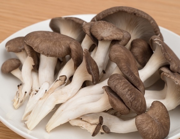 «Я бы не стала»: врач назвала три категории людей, которым не стоит есть грибы шиитаке