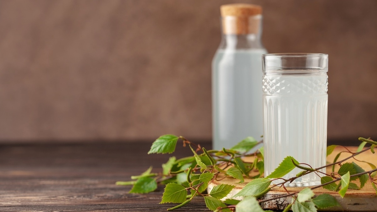 Как сохранить березовый сок в домашних условиях? Самый простой способ сберечь вкус и пользу до полугода Как сохранить березовый сок в домашних условиях? Самый простой способ сберечь вкус и пользу до полугода