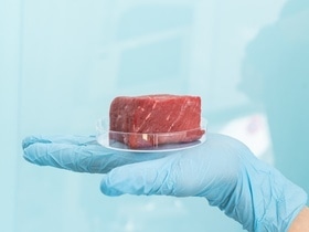 Во Всемирной организации здравоохранения ответили, почему современные продукты портятся быстрее