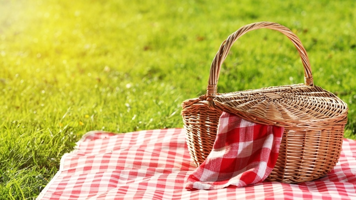 Закуски на пикник: 3 оригинальных рецепта без мяса и котлет