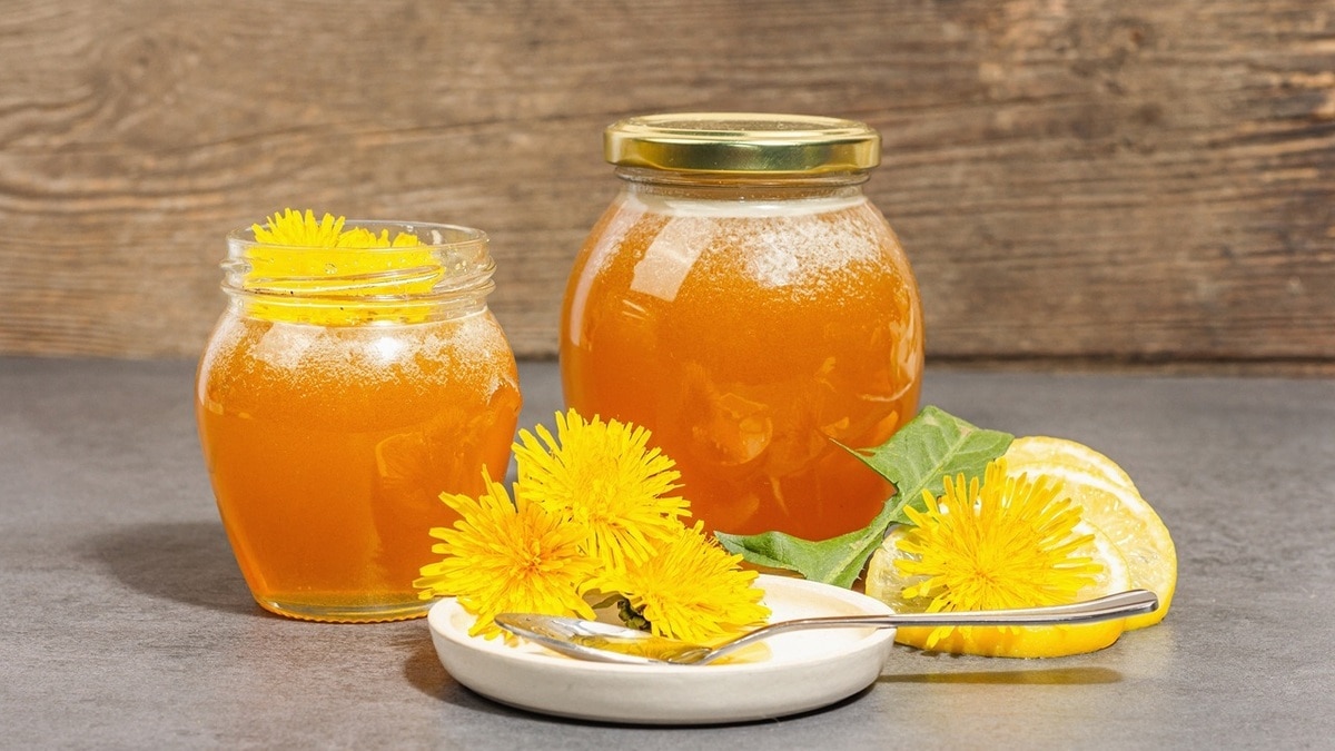 Чаепития с особым вкусом — как приготовить варенье из одуванчиков Чаепития с особым вкусом — как приготовить варенье из одуванчиков