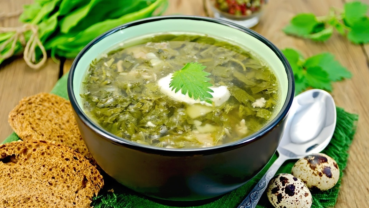 Что нужно добавлять в суп из крапивы — уксус или лимонную кислоту? Что нужно добавлять в суп из крапивы — уксус или лимонную кислоту?