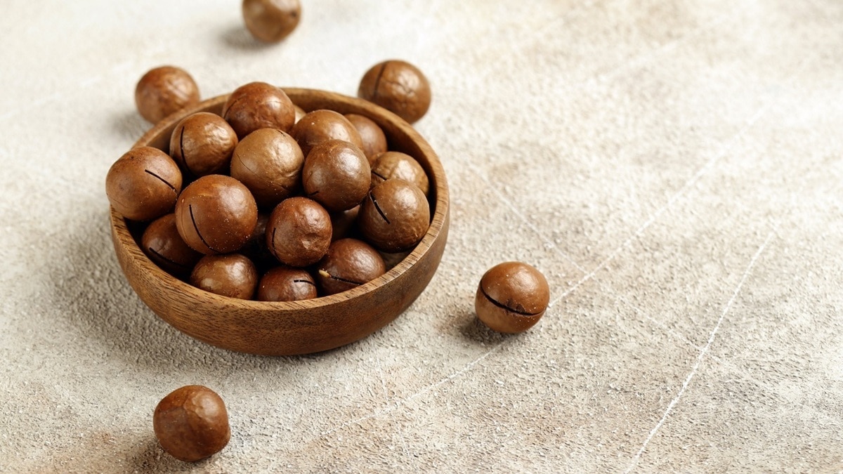 Чем полезен орех макадамия — незаменимый состав для здоровья организма Чем полезен орех макадамия — незаменимый состав для здоровья организма