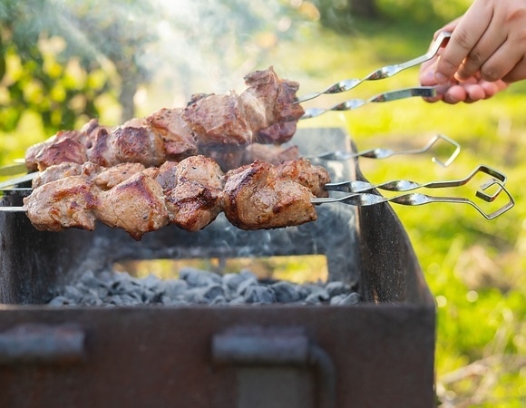 Сколько жарить шашлык из индейки — главное, не пересушить