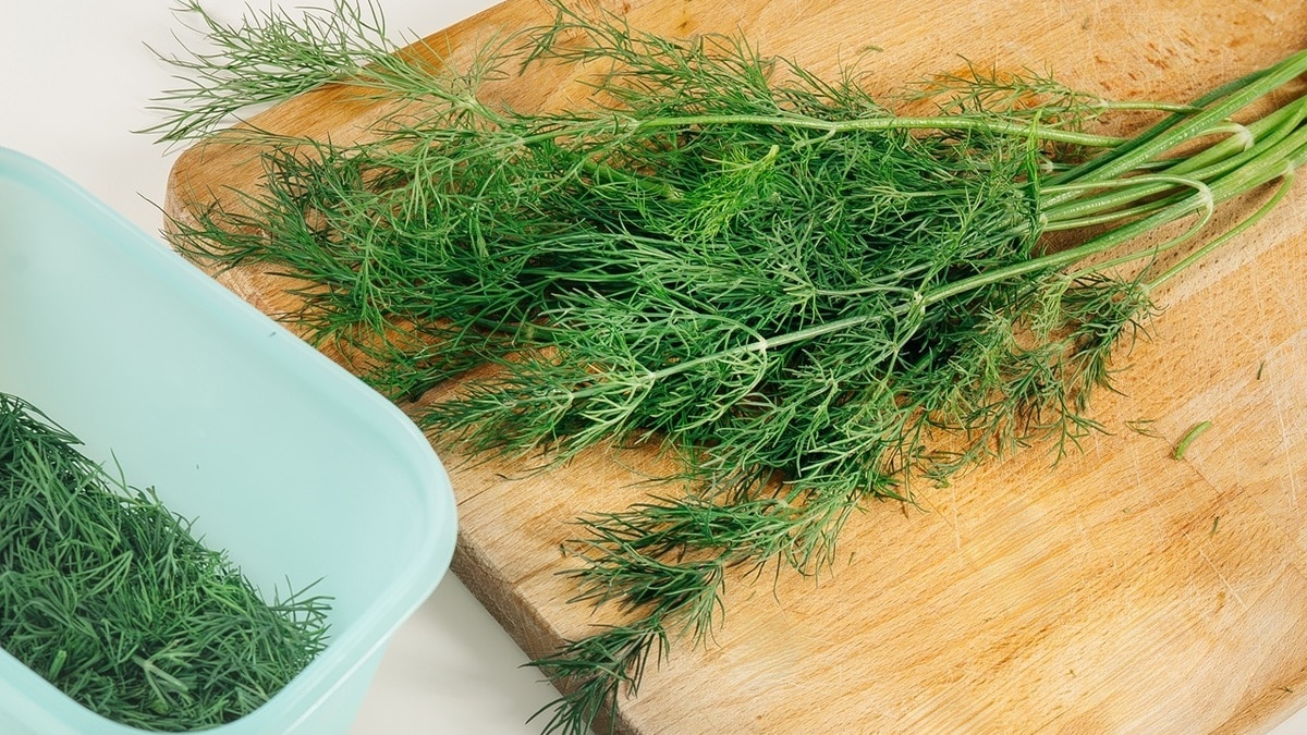 Укроп точно будет лишним — в какие блюда не стоит добавлять зелень Укроп точно будет лишним — в какие блюда не стоит добавлять зелень