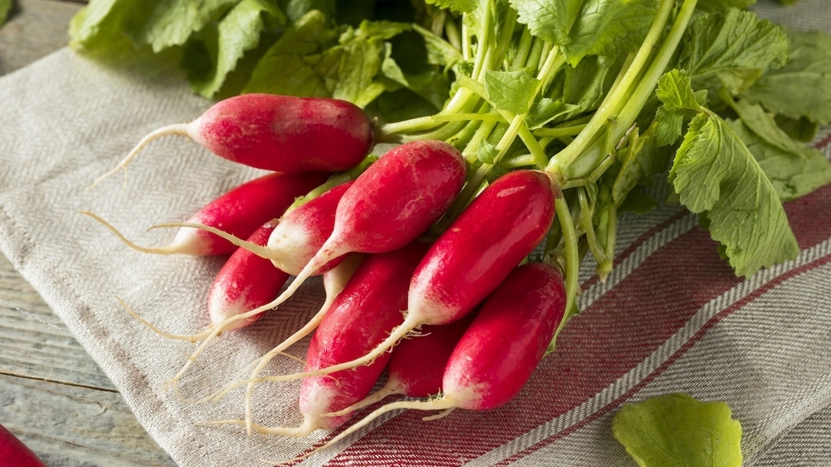 Как хранить редис — нашли простые способы сберечь хруст и вкус на недели вперед