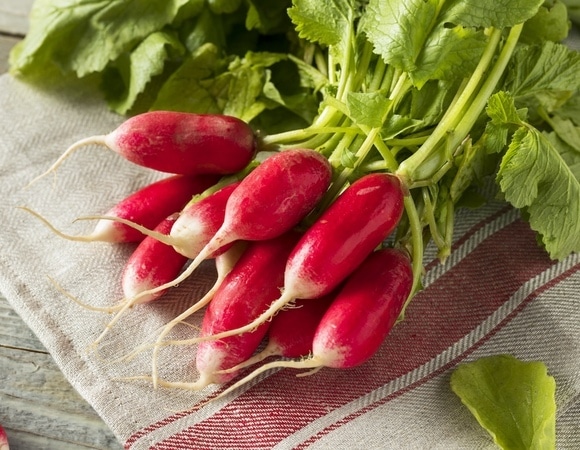 Как хранить редис — нашли простые способы сберечь хруст и вкус на недели вперед Как хранить редис — нашли простые способы сберечь хруст и вкус на недели вперед