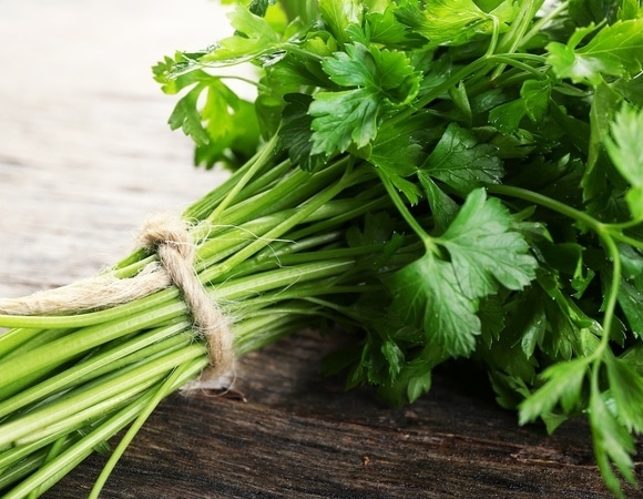 Воротит от кинзы? Нашли сразу 9 вариантов на замену траве с «душком»