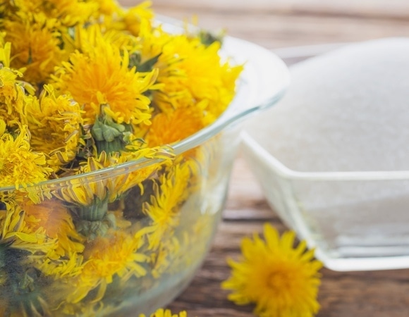 Домашнее вино из одуванчиков — нашли рецепт с солнечным настроением 