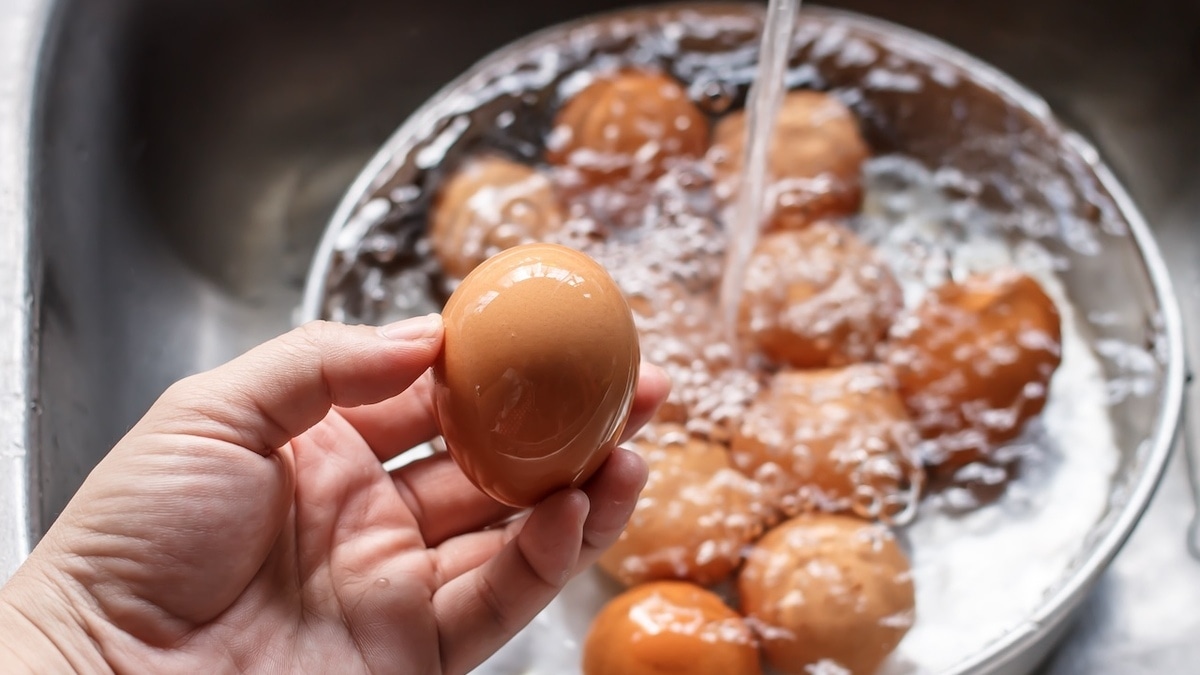 Врач объяснила, как мыть яйца — чтобы не подхватить сальмонеллу