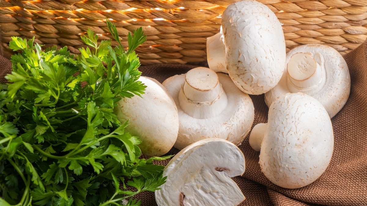 Шампиньоны все-таки едят сырыми или нет? Объяснила гастроэнтеролог