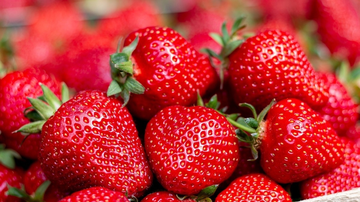 Как сохранить клубнику — три варианта для любого случая