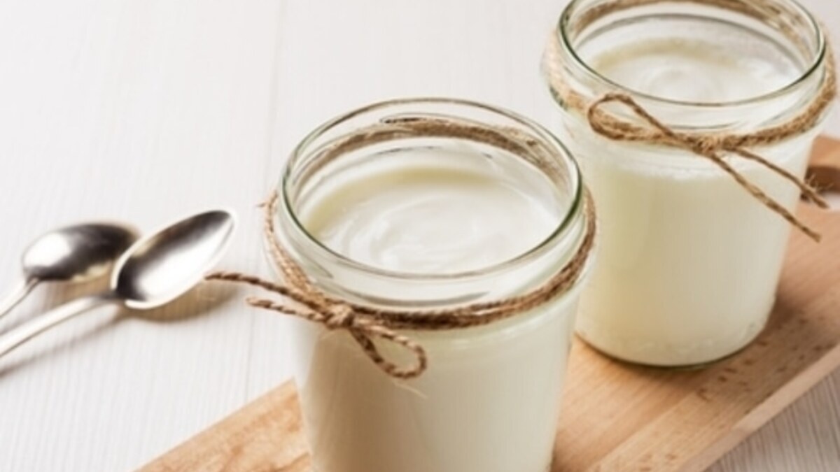 Греческий йогурт — белковая бомба? Чем полезен продукт и что из него можно приготовить