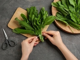 Как заготовить щавель на зиму: эти 2 способа сберегут вкус весны и витамины